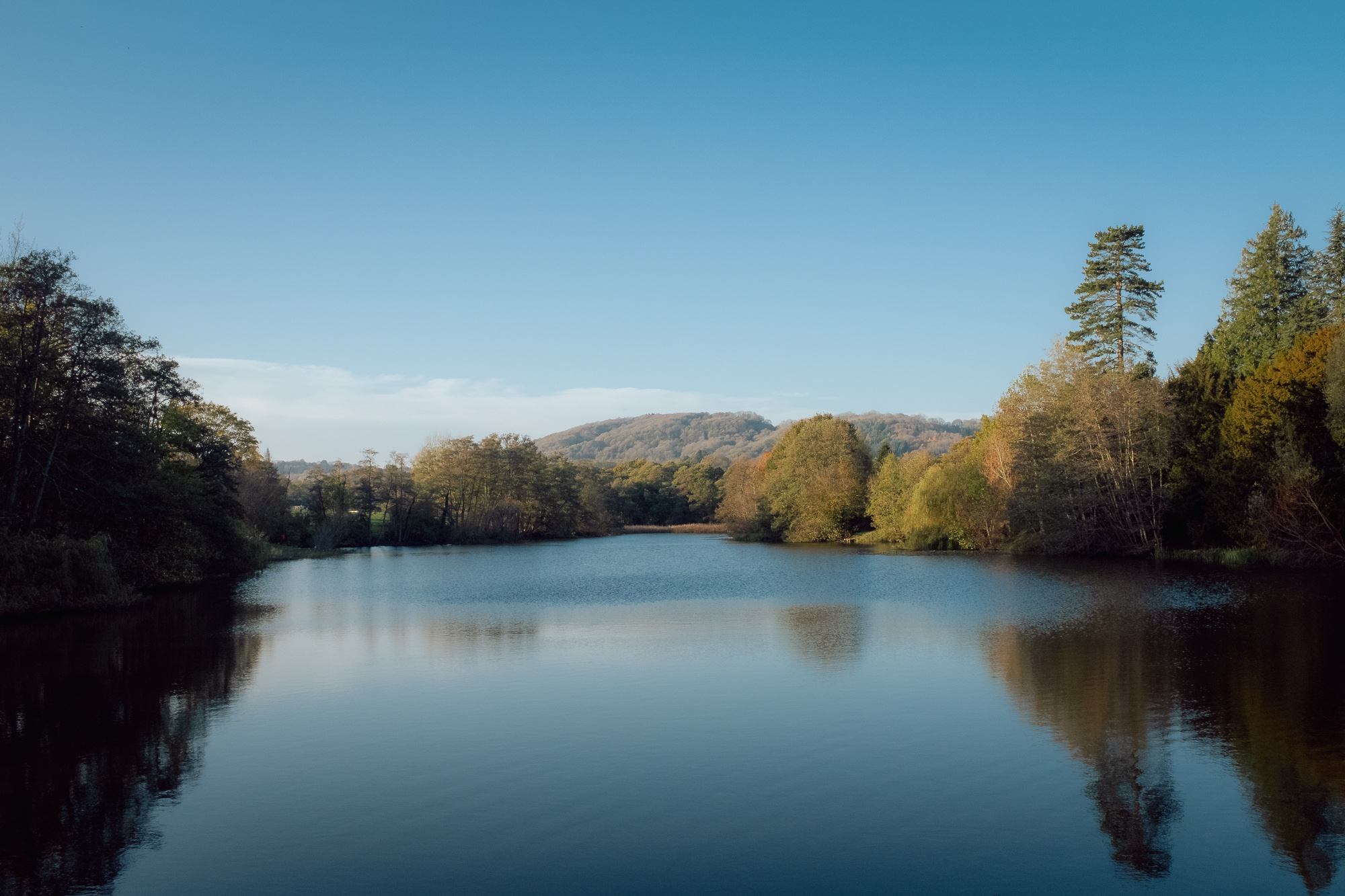 A Serene Afternoon at Witley Court, photograph 4