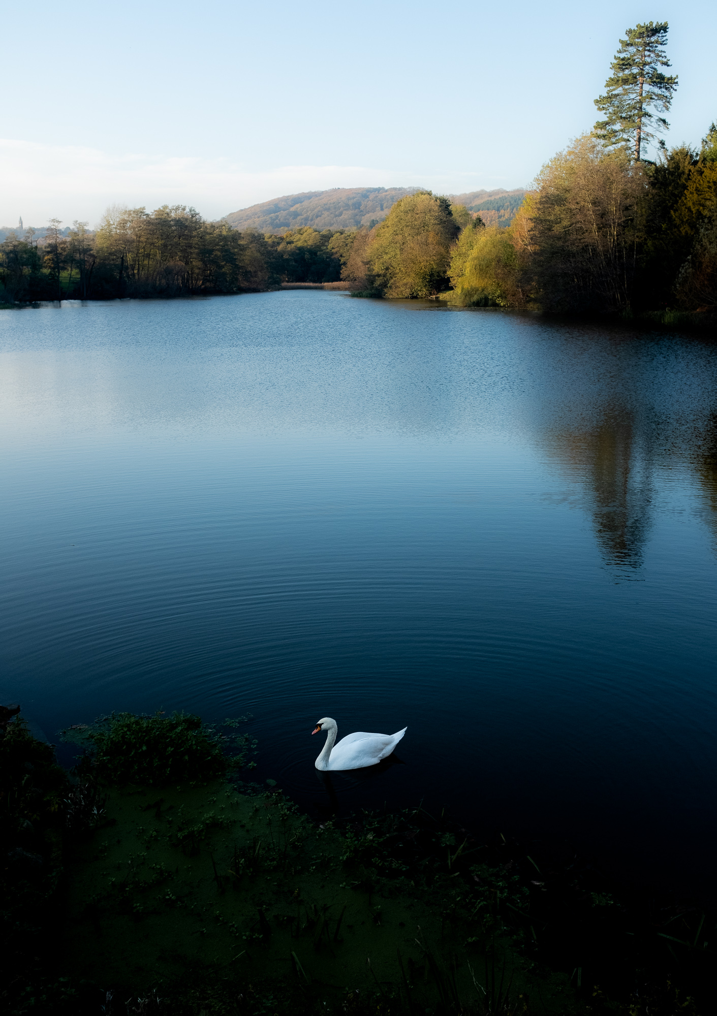 A Serene Afternoon at Witley Court, photograph 5