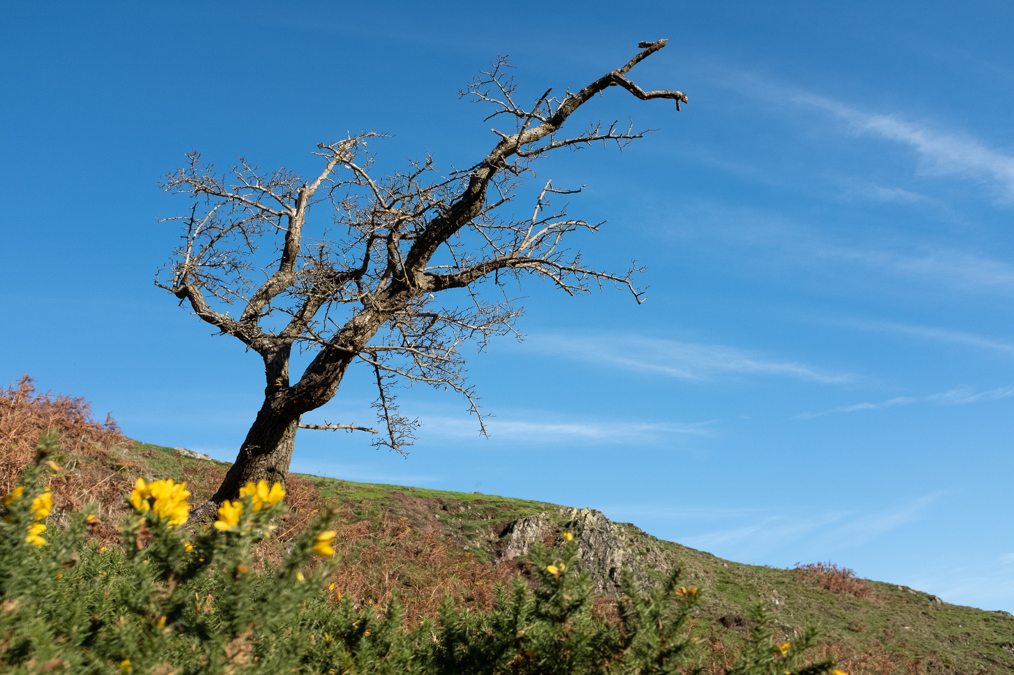 An Autumnal Walk at The Long Mynd, photograph 2