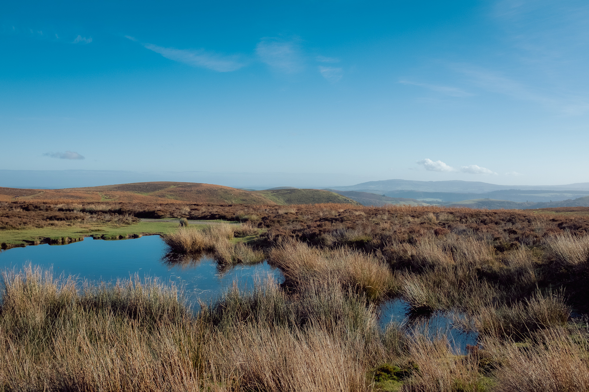 An Autumnal Walk at The Long Mynd, photograph 5