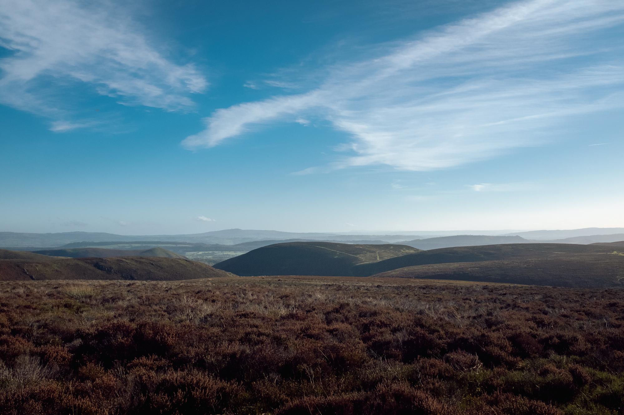An Autumnal Walk at The Long Mynd, photograph 6