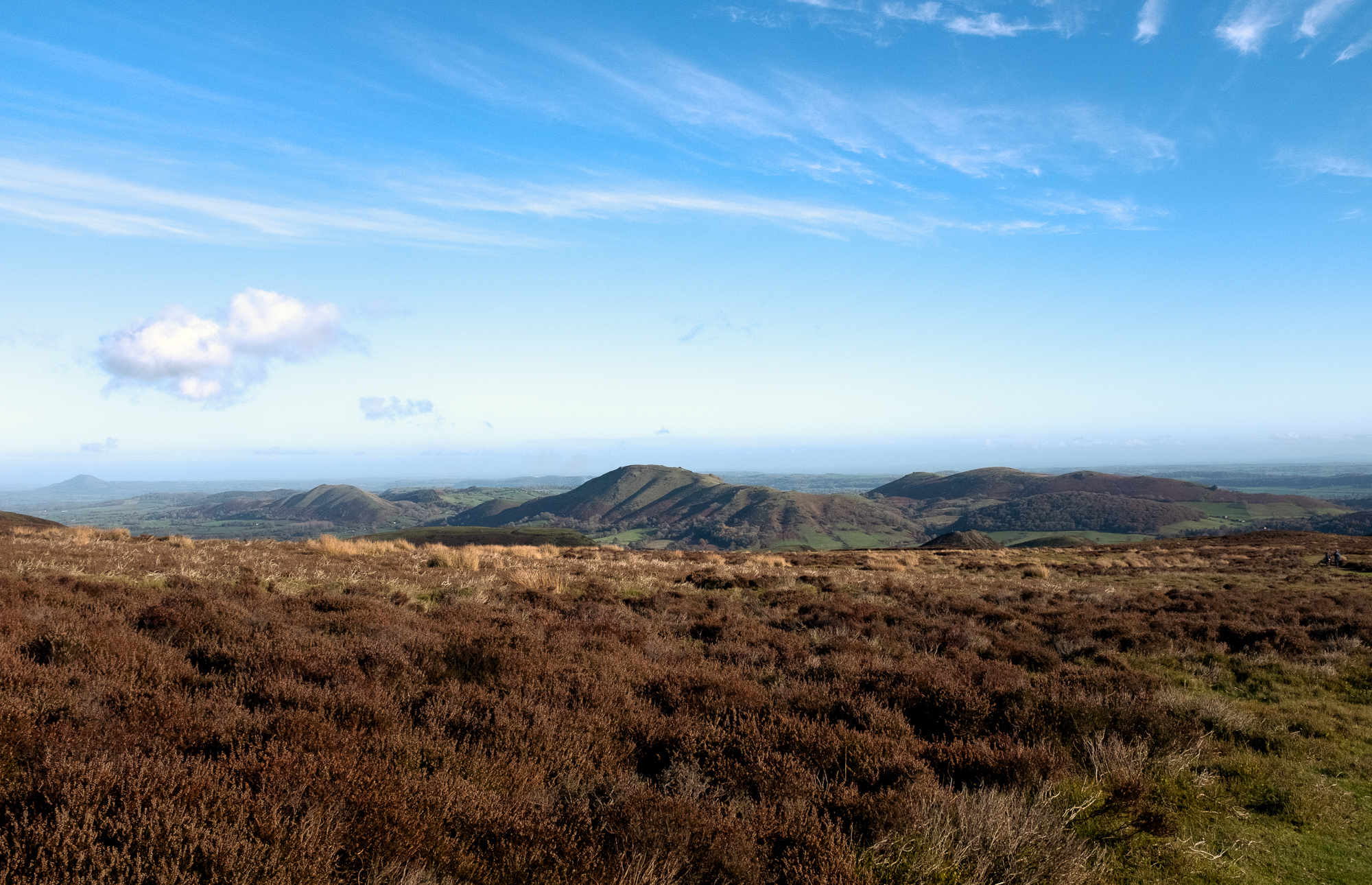 An Autumnal Walk at The Long Mynd, photograph 7