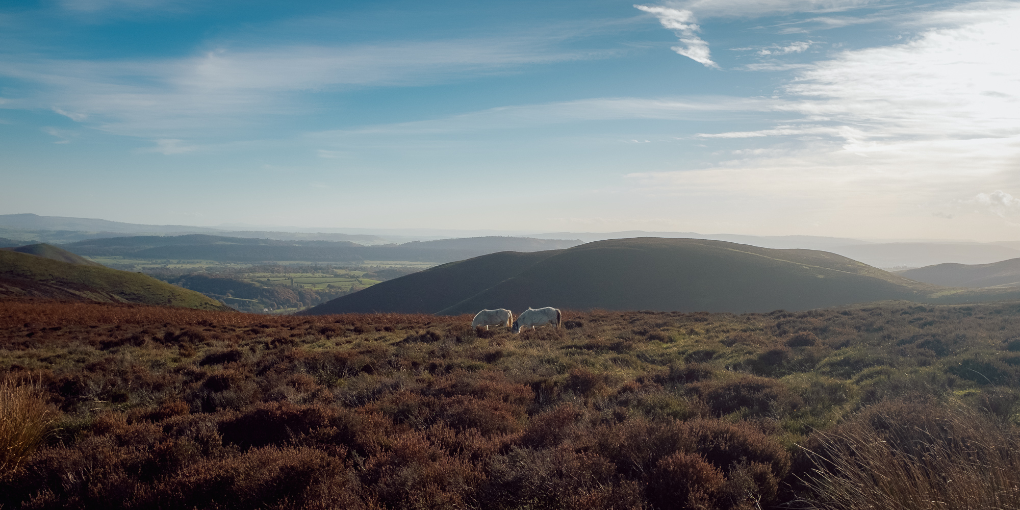 An Autumnal Walk at The Long Mynd, photograph 9
