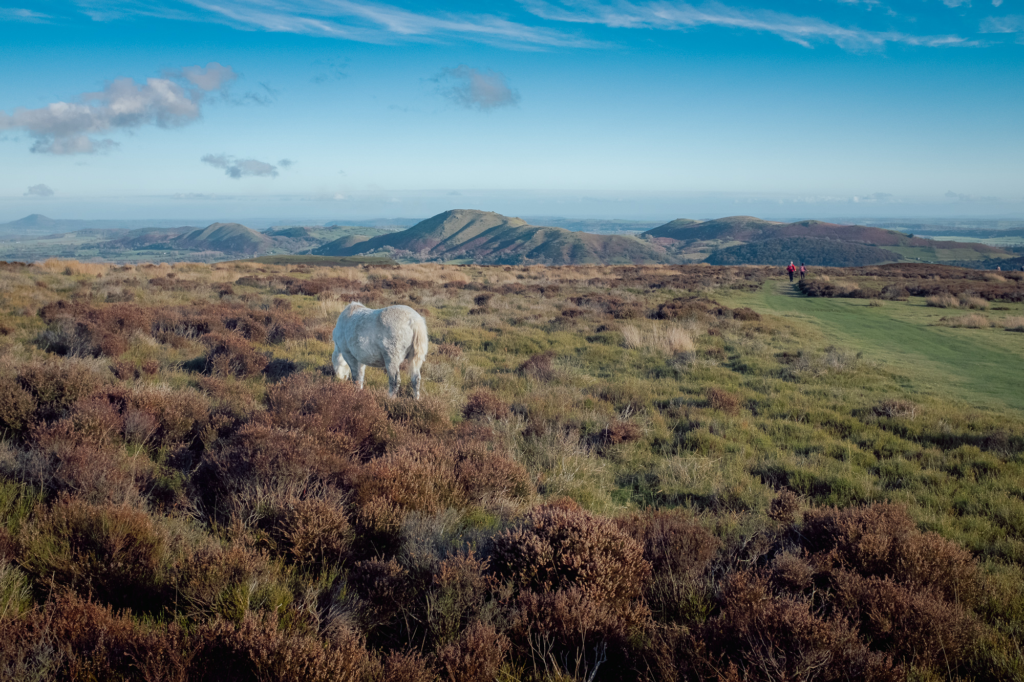 An Autumnal Walk at The Long Mynd, photograph 10