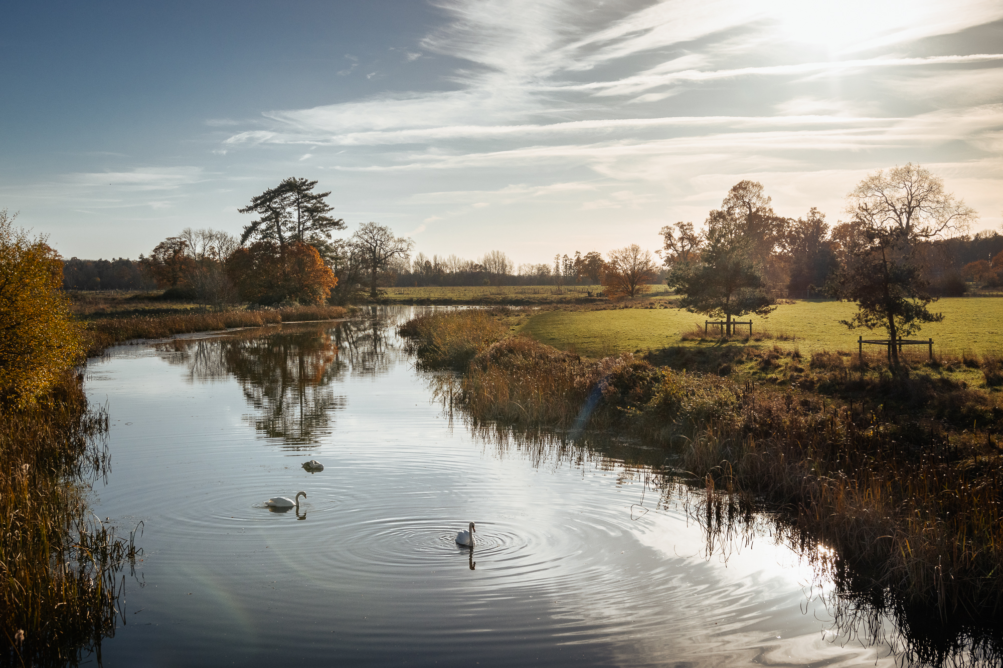 Changing Seasons at Croome, photograph 2