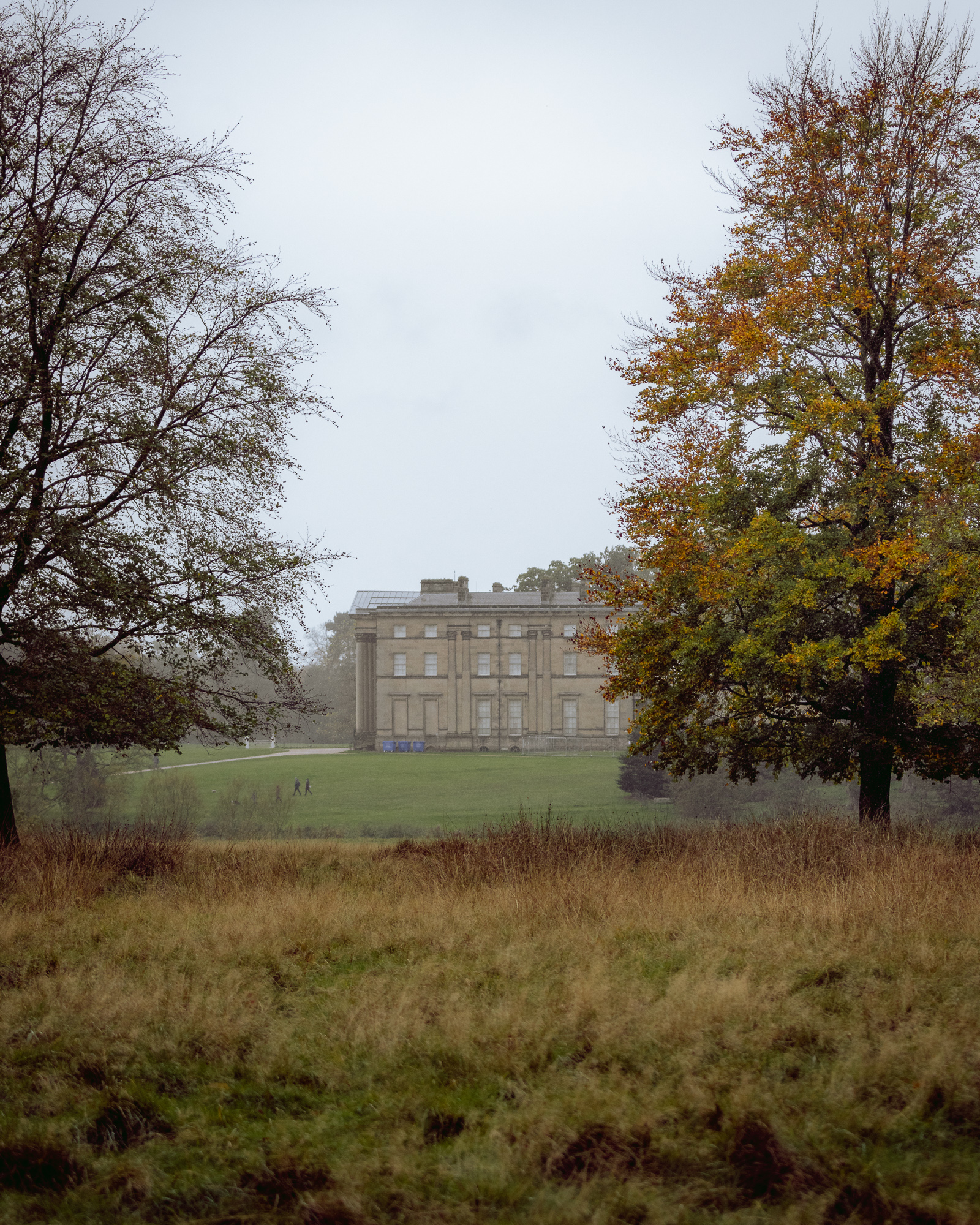 Deer Spotting at Attingham Park, photograph 3