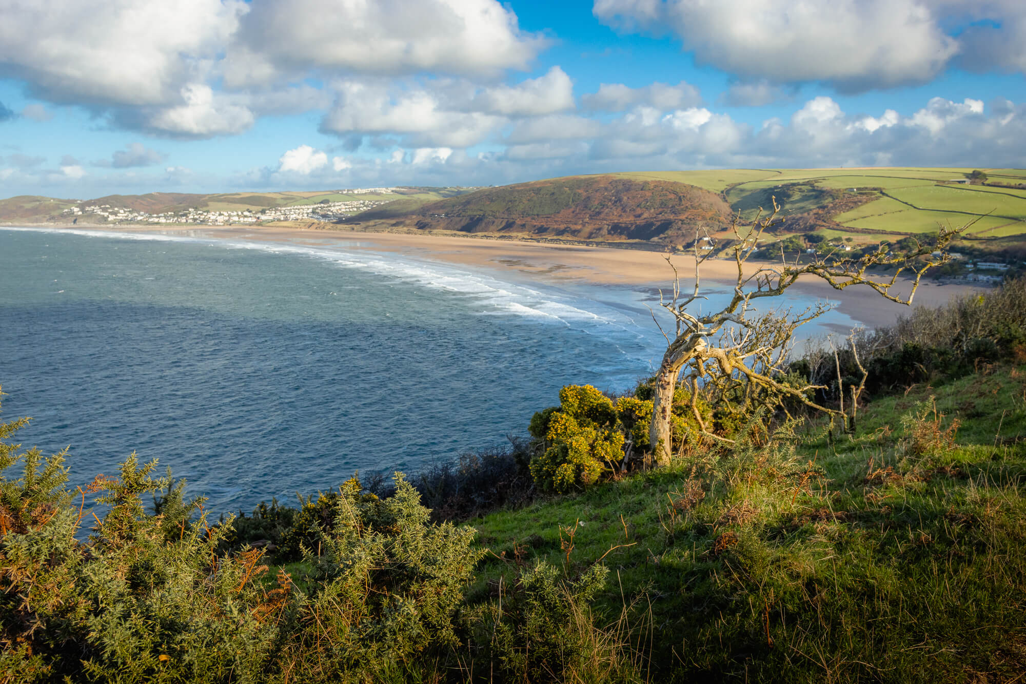 Devon in December, photograph 4