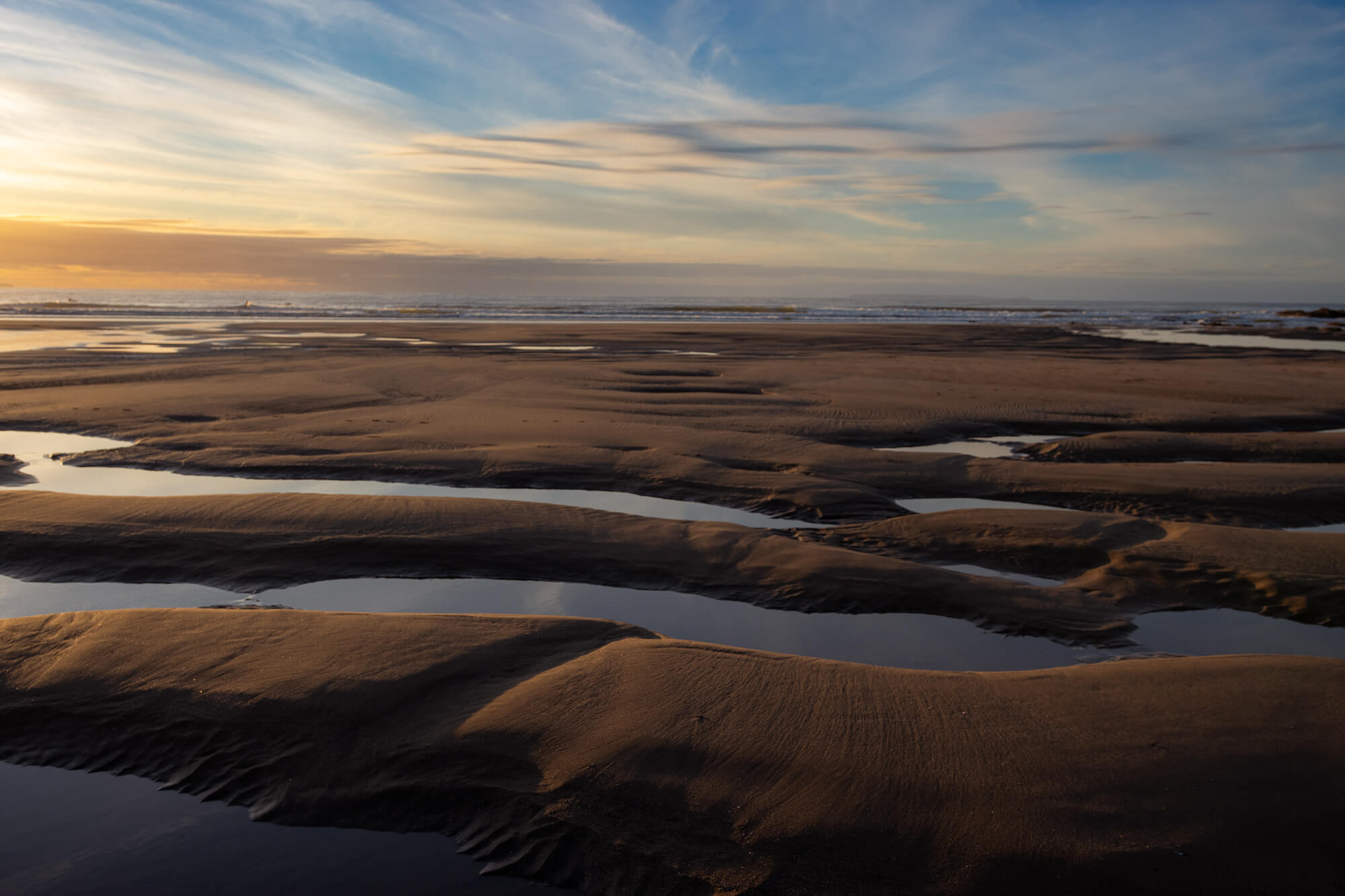 Devon in December, photograph 16