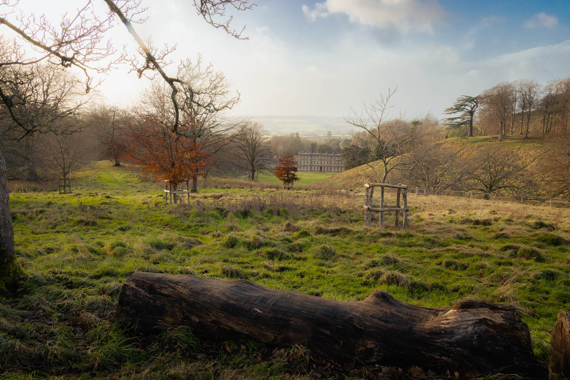 Dyrham Park in the December Sun, photograph 8