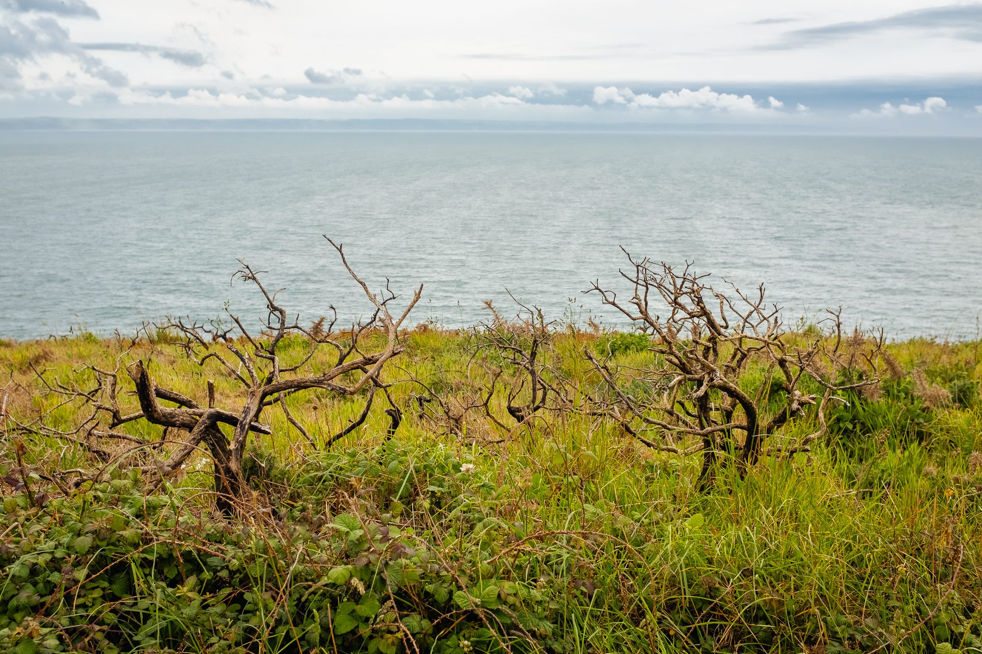 Exploring North Devon, photograph 4