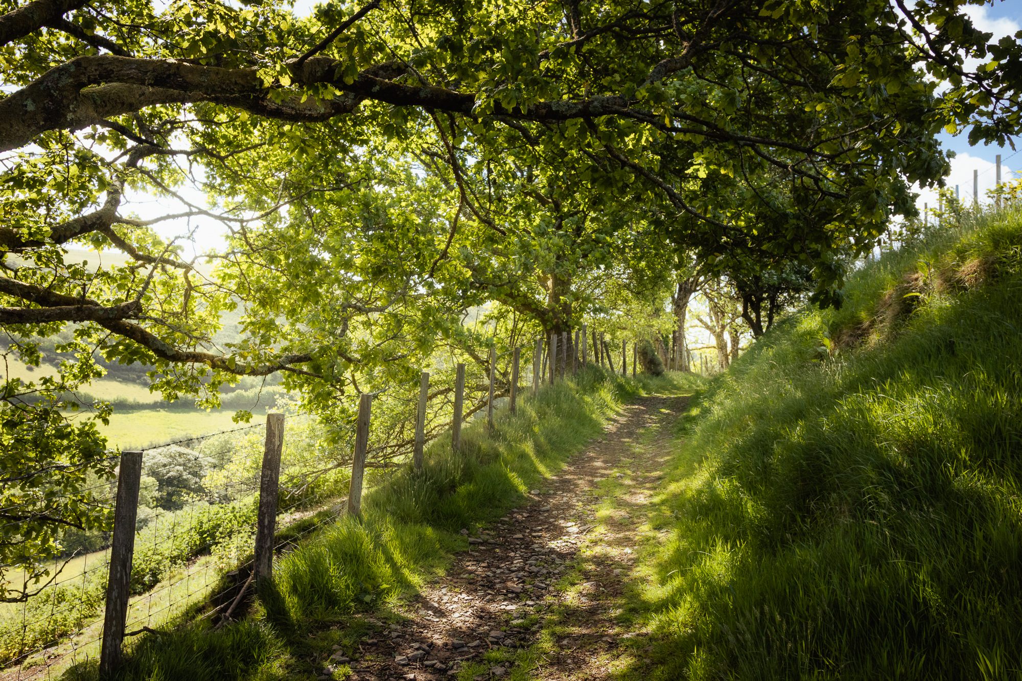Exploring North Devon, photograph 6