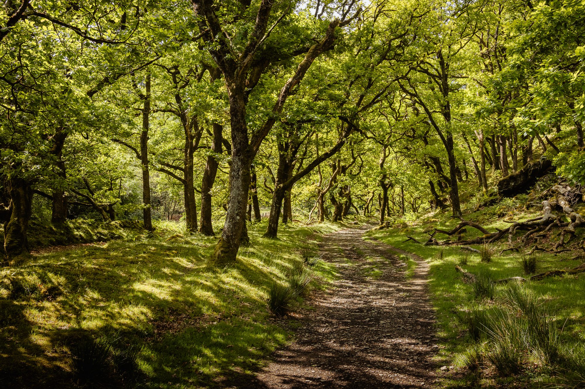 Exploring North Devon, photograph 7