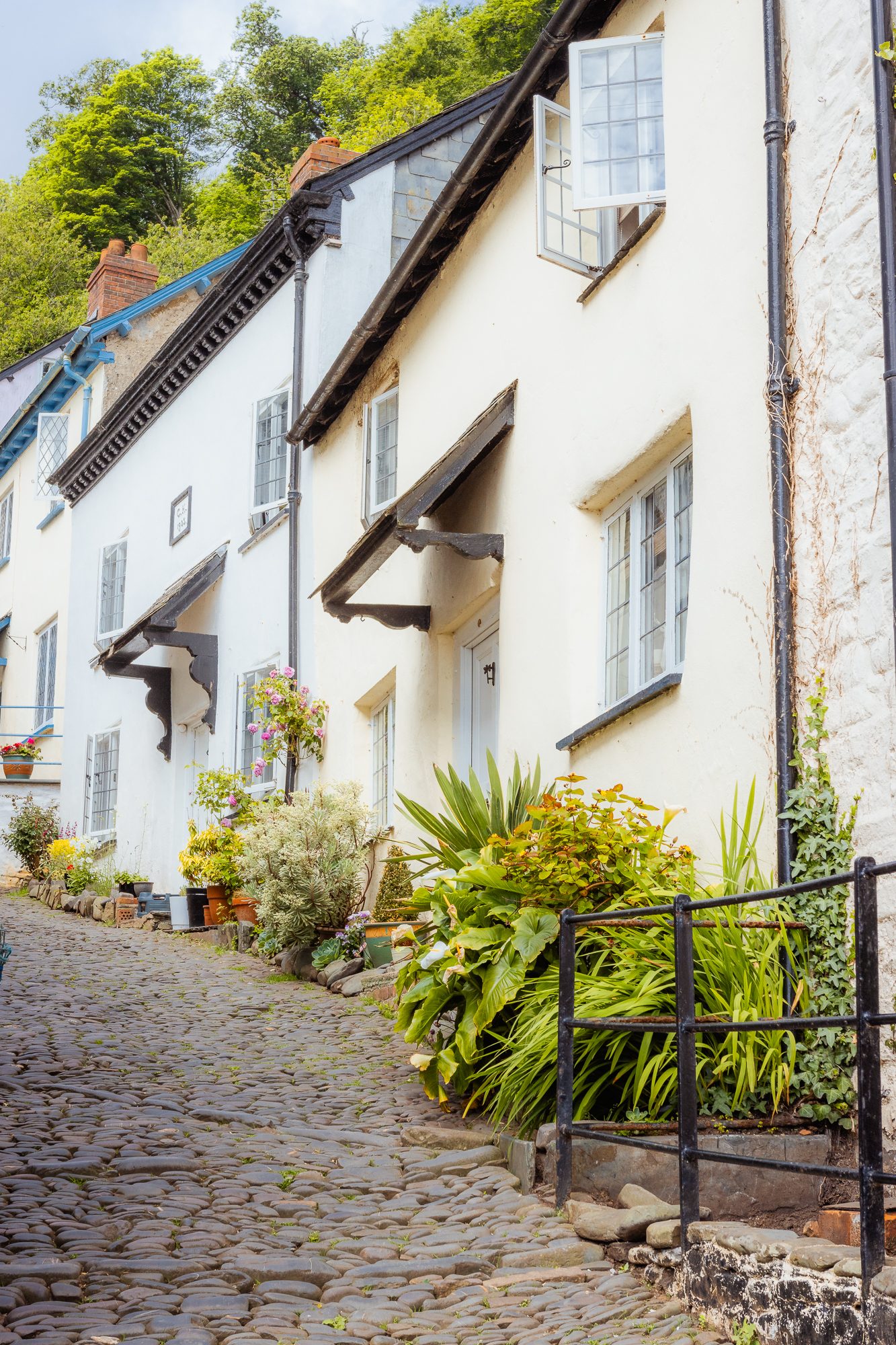 Exploring North Devon, photograph 9