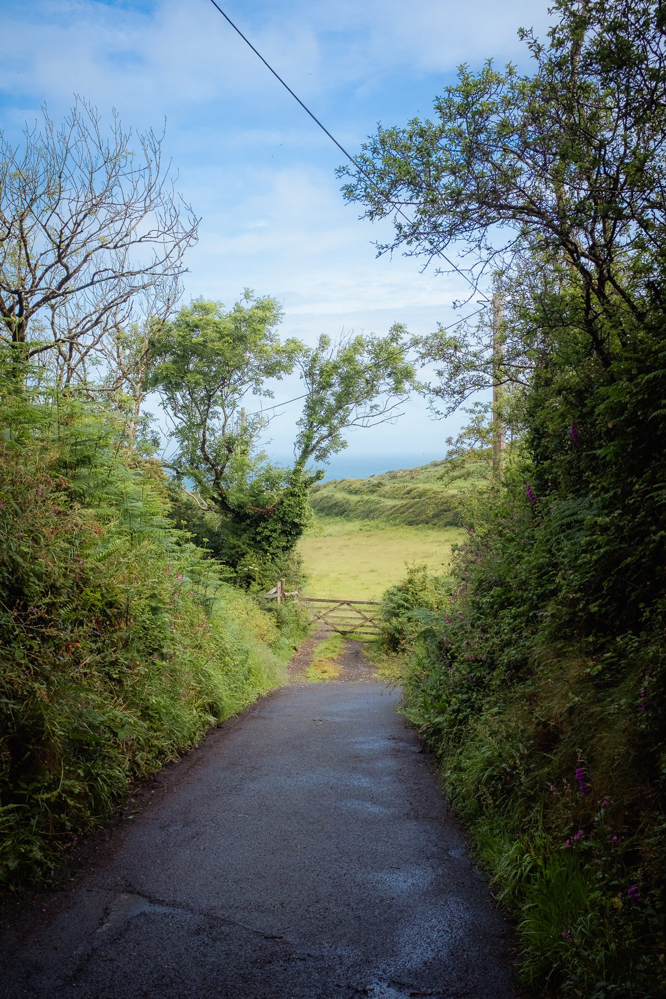 Exploring North Devon, photograph 11