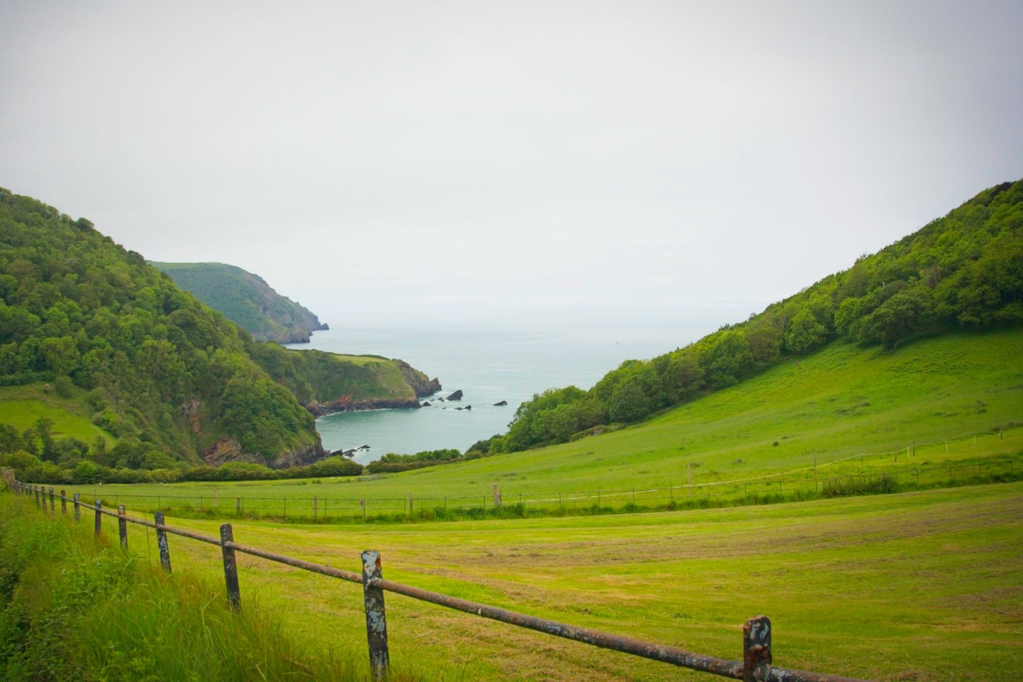 North Devon in May, photograph 8