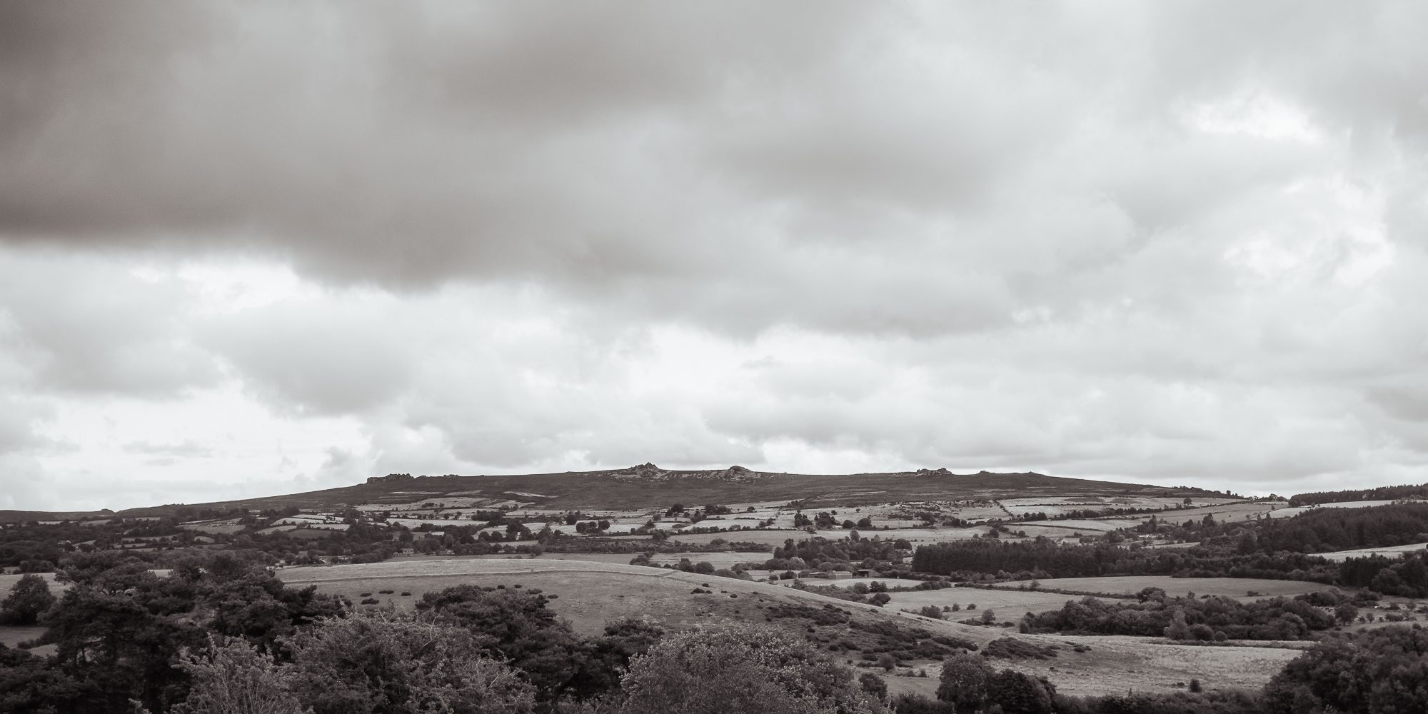 Summer on the Stiperstones, photograph 10