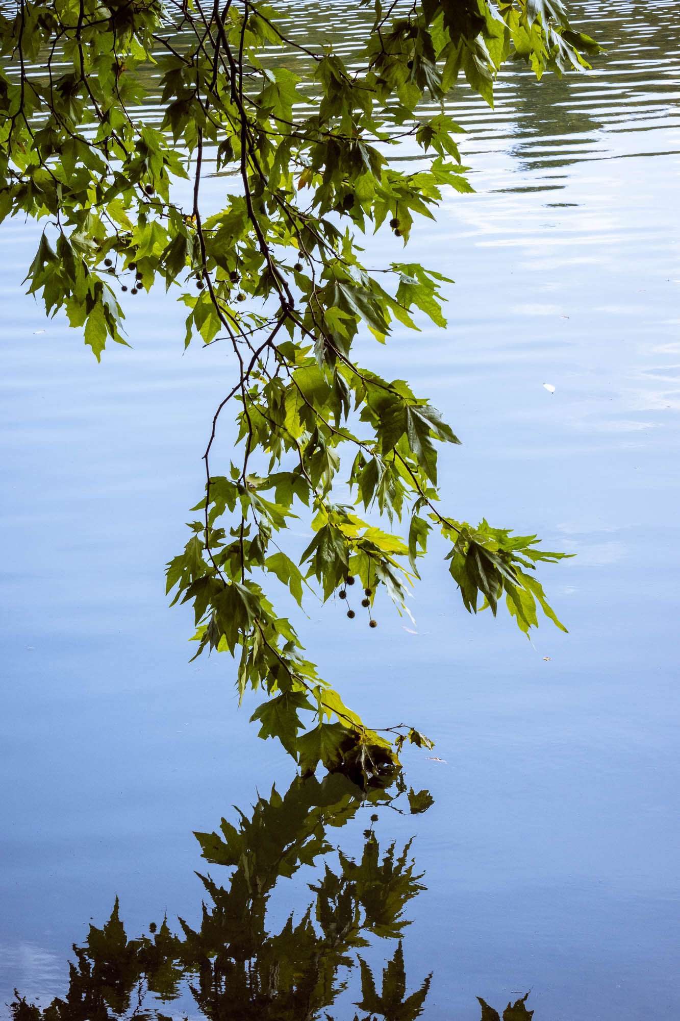 Wandering Around Wiltshire, photograph 3