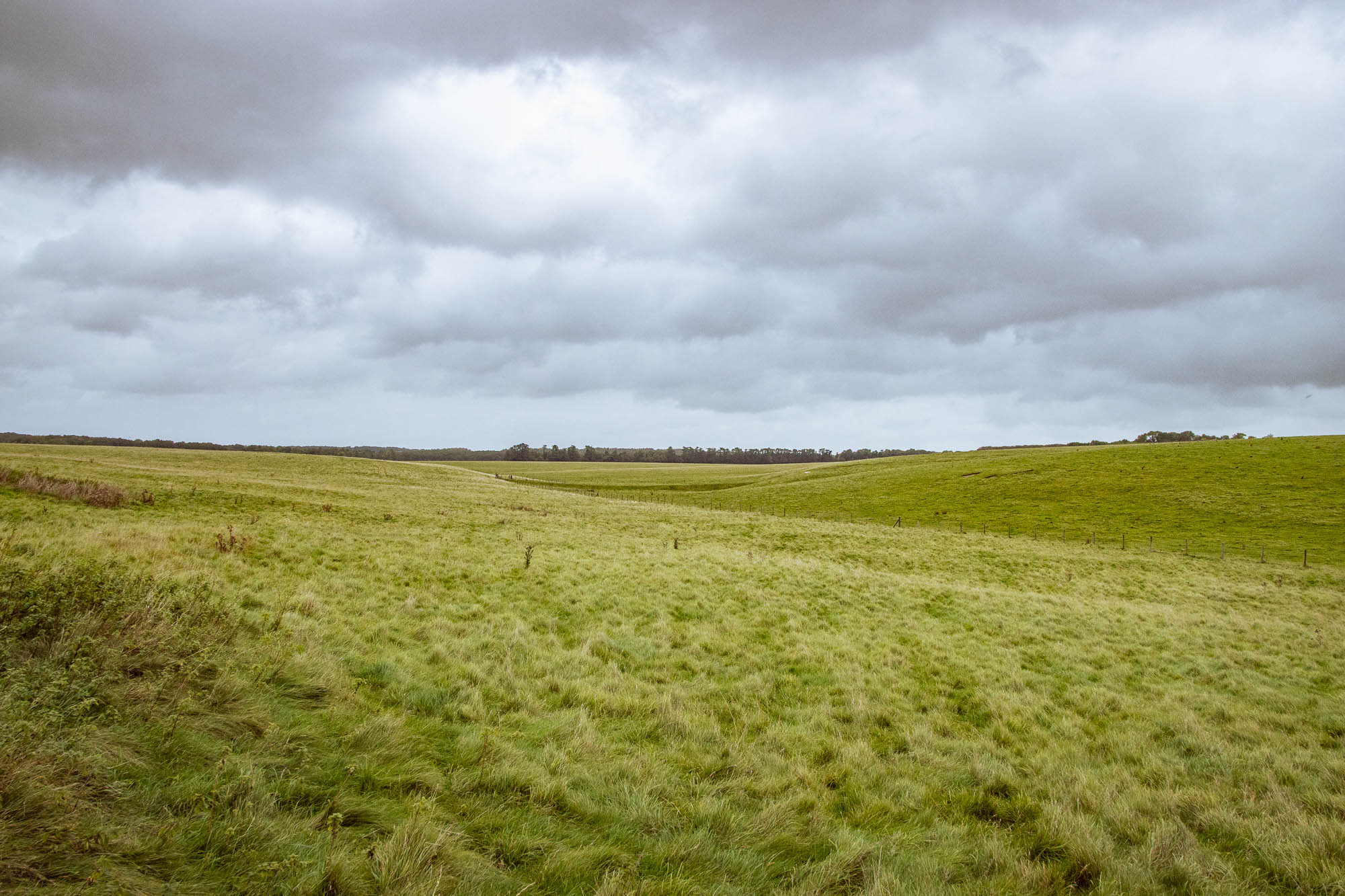 Wandering Around Wiltshire, photograph 13