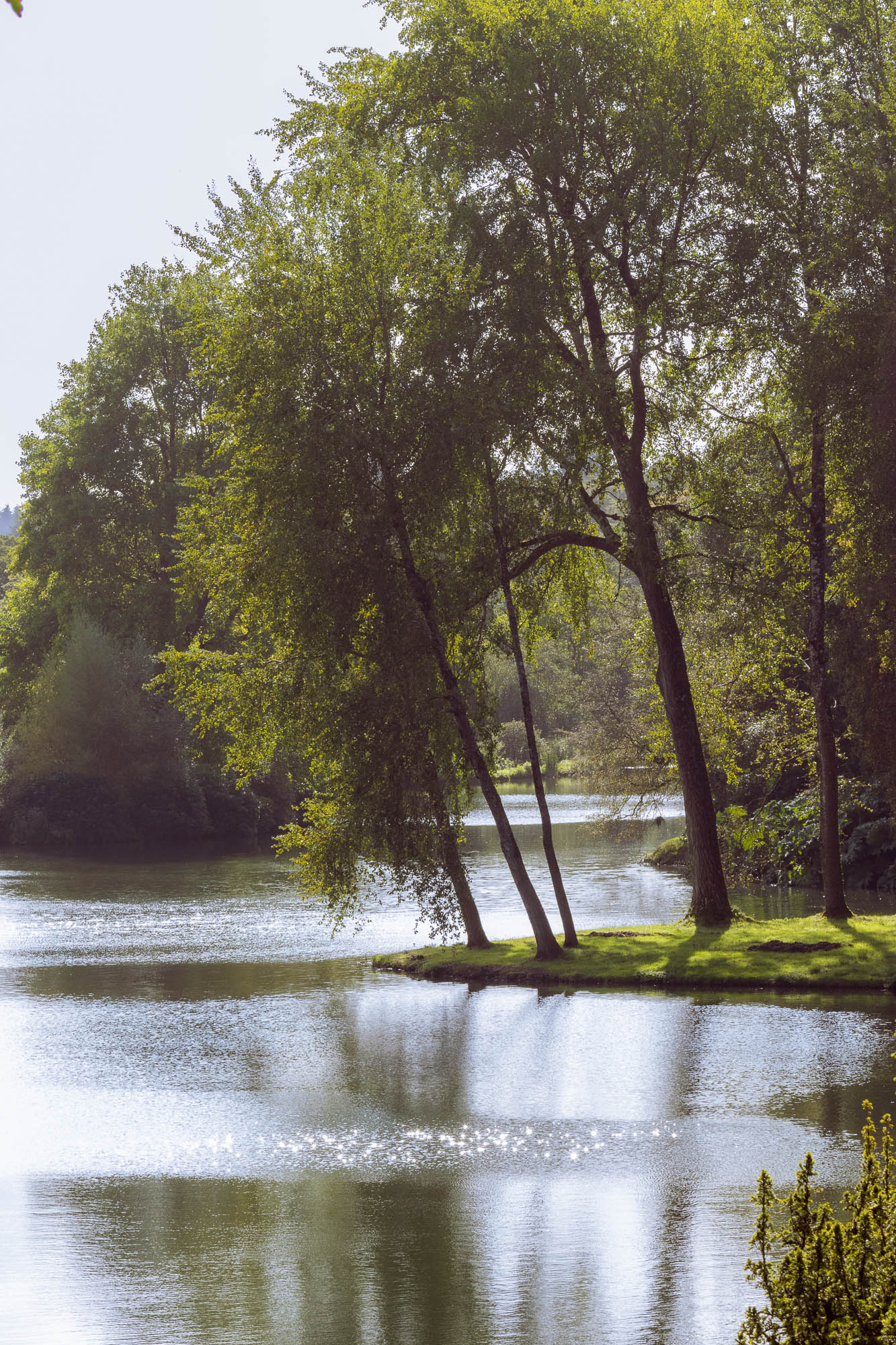 Wandering Around Wiltshire, photograph 23